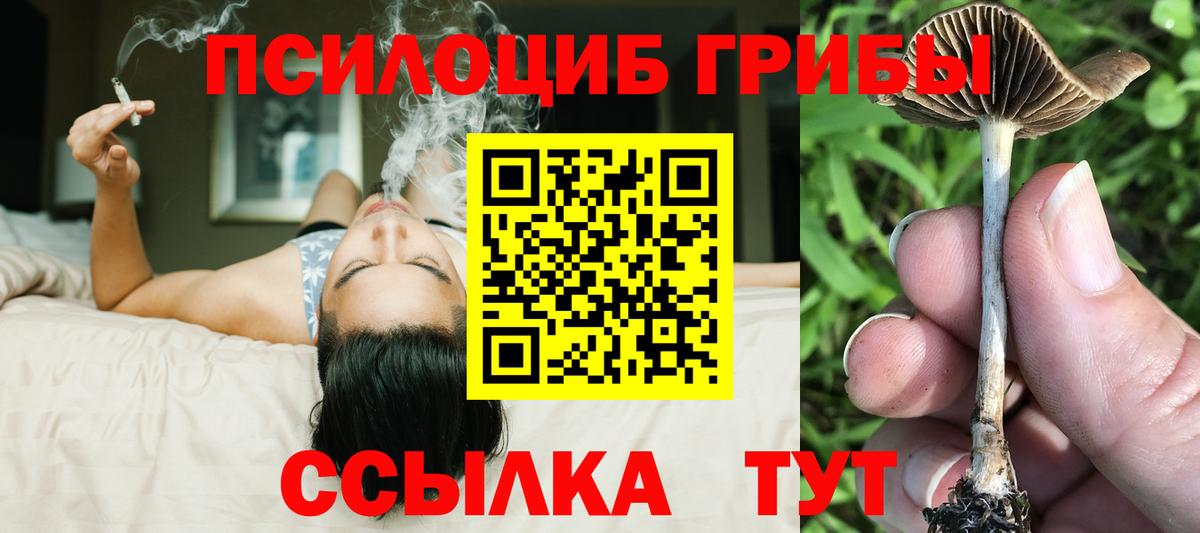 Галлюциногенные грибы Magic Shrooms  Вход с VPN  Псилоцибиновые грибы MAGIC MUSHROOMS  наркота  Артём 