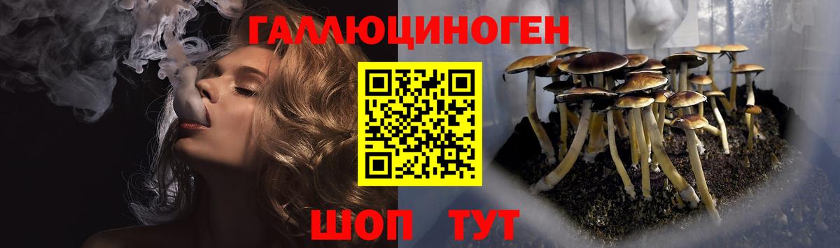 Галлюциногенные грибы Cubensis Артём